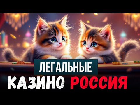 Легальные казино Россия✅  | ✅ Лицензионные казино✅
